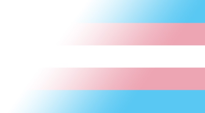 Trans* Human Rights Bill C-16: A Look Back
